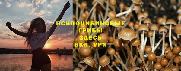 ешки Горнозаводск