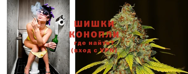 прущие грибы Володарск