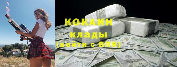 шишки Бронницы